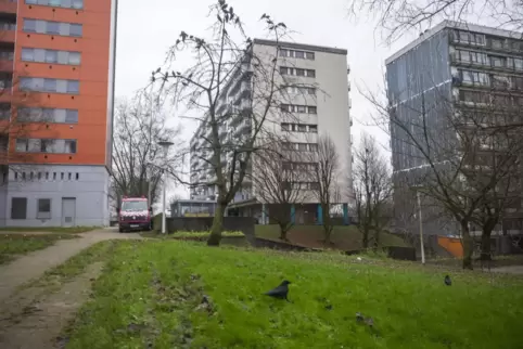 Die Hochhaussiedlung Peterbos gilt als ein Zentrum des Drogenhandels.