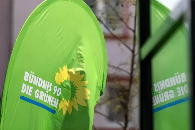 Seit ihrem Stimmenzuwachs 2019 sind die Grünen mit sieben Sitzen im Frankenthaler Stadtrat vertreten. 
