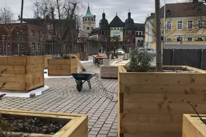 Neue Holzkübel mit Pflanzen: »Klimaoase« am Domplatz entsteht.