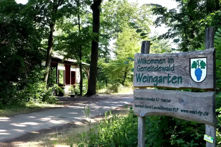In der Nähe der Grillhütte bei Weingarten wurde der 17-Jährige im Juli vergangenen Jahres erstochen.