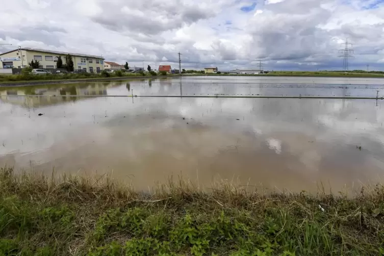 Die künftige Gewerbefläche liegt im Überschwemmungsgebiet der Isenach, was etwa im Sommer 2021 deutlich zu sehen war. 