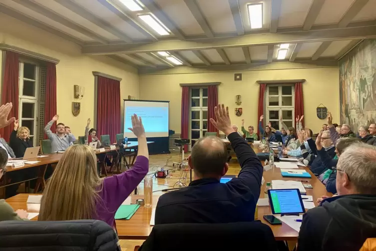 Der Annweiler Stadtrat hatte in großer Geschlossenheit für die Absage an die AfD gestimmt. 
