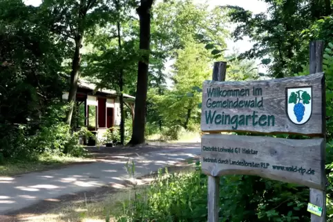 Bei der Grillhütte in Weingarten wurde im Juli 2023 ein 17-Jähriger erstochen.