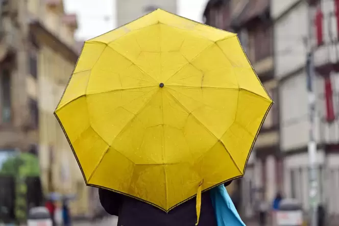 Wer in den kommenden Tagen in Rheinland-Pfalz aus dem Haus geht, sollte seinen Regenschirm nicht vergessen.