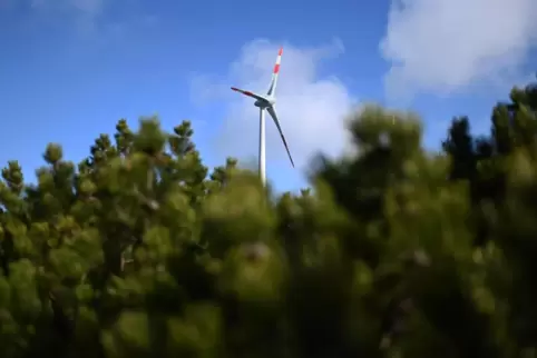 Windräder sollen im Staatswald in Zukunft häufiger zu sehen sein. 