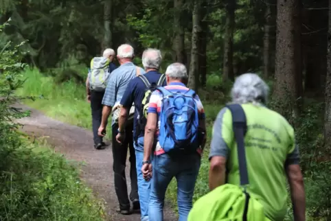 Zu 19 Monats- und sieben Mittwochswanderungen ist die Ortsgruppe des Pfälzerwald-Vereins 2023 aufgebrochen.