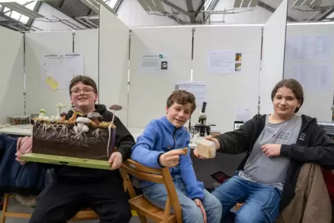 Wie Fasern eines Pilzes als Baustoff genutzt werden können, das haben Simon Lütke, Aaron Trepke und Henry Fußer untersucht. 