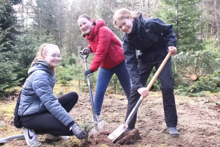 Greta Gansert, Ailien Götz und Svenja Hinrichs haben Spaß beim Pflanzen (von links). 