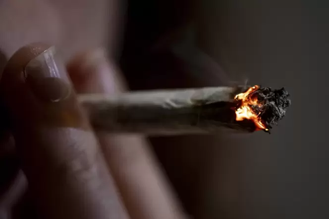 Voraussichtlich ab April für Erwachsene legal: Joint rauchen.