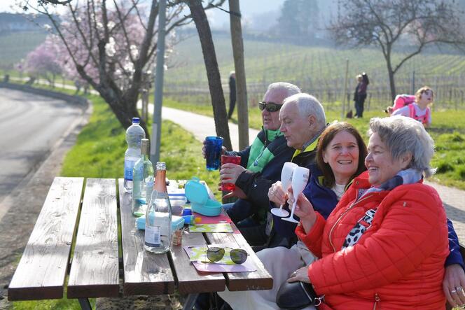 Genuss auf der Mandelmeile: Besucher aus Bad Dürkheim und Mannheim genießen den sonnigen Donnerstag mit einem Picknick.