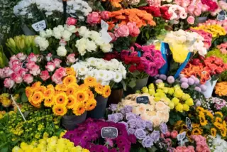 Ein Blumenstrauß für die „Dannde Liesel“? Nicht zu empfehlen, sagt unser Autor.