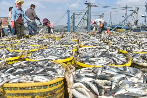Fischerei in China