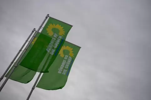 Flaggen mit dem Logo von Bündnis 90/Die Grünen wehen vor dem Veranstaltungszentrum intersport redblue in Heilbronn, in dem die d