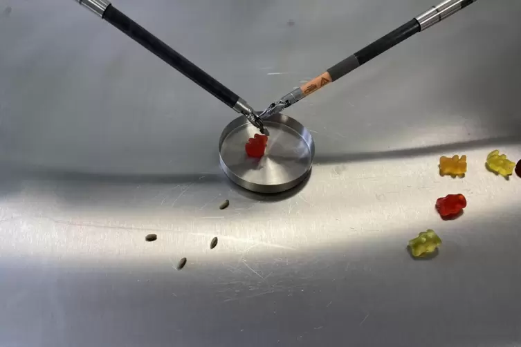 Patient: Gummib&auml;rchen. 