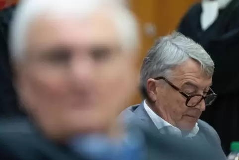 Haben sich nichts zu sagen, sind aber beide angeklagt: Theo Zwanziger und Wolfgang Niersbach. 