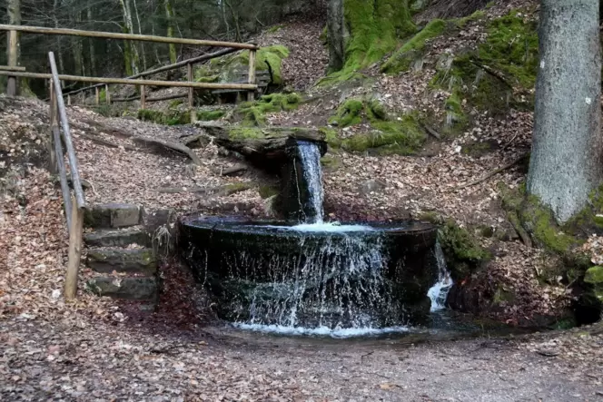 Brunnen, Quellen und Bäche im Pfälzerwald führen wieder jede Menge Wasser.