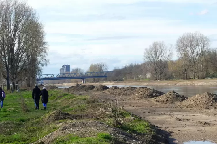 Statt Spaziergänger werden hier am Neckarufer in der Nähe der Riedbahnbrücke bald Bauarbeiter das Bild prägen.