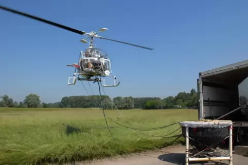 Start zur Stechmückenbekämpfung: Hubschrauber-Flug im Auftrag der Kabs.