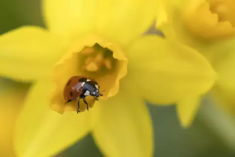 imago0416002802h