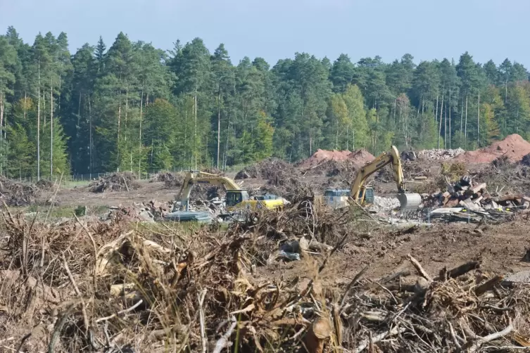 Rund 50.000 B&auml;ume wurden auf dem ehemaligen Depotgel&auml;nde eingeschlagen.