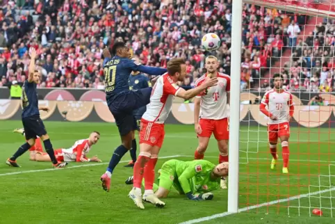 Harry Kane steht nach seinen drei Toren gegen Mainz nun schon bei 30 Saisontreffern – hier sein Kopfball zum 7:1, den Keeper Rob