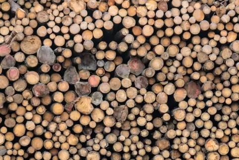 Der Gemeinderat lässt das Holz jetzt von einer Gesellschaft aus Maikammer vermarkten. 