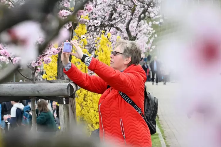 Ein Foto auf der Mandelmeile geh&ouml;rt f&uuml;r die meisten Besucher zum Pflichtprogramm. 
