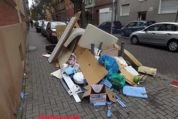 Wilde Müllkippe in der Hartmannstraße. 