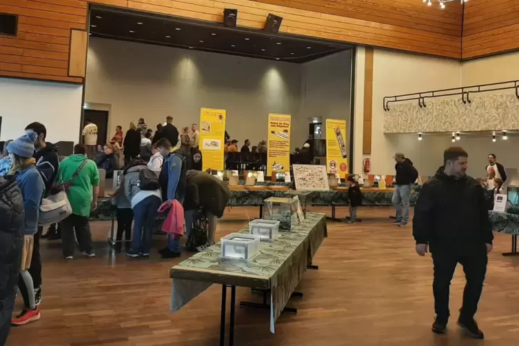 Streichelzoo mit Spinnen und Insekten: Die Ausstellung&bdquo;Insectophobie&ldquo; im Ruchheimer Gemeinschaftshaus war gut besucht. 