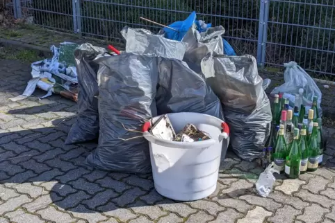 „Wohlstandmüll“ nennt Martin Meister das, was er und fünf seiner Nabu-Kollegen am Samstag in und um Neustadt gefunden haben. 
