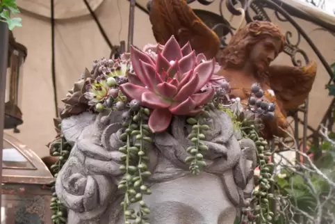 Garten- und Pflanzenmarkt Edenkoben 2024. 