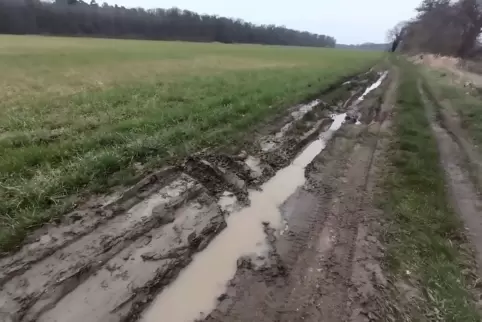 Die Quadfahrer haben deutliche Spuren auf dem Feld hinterlassen. 