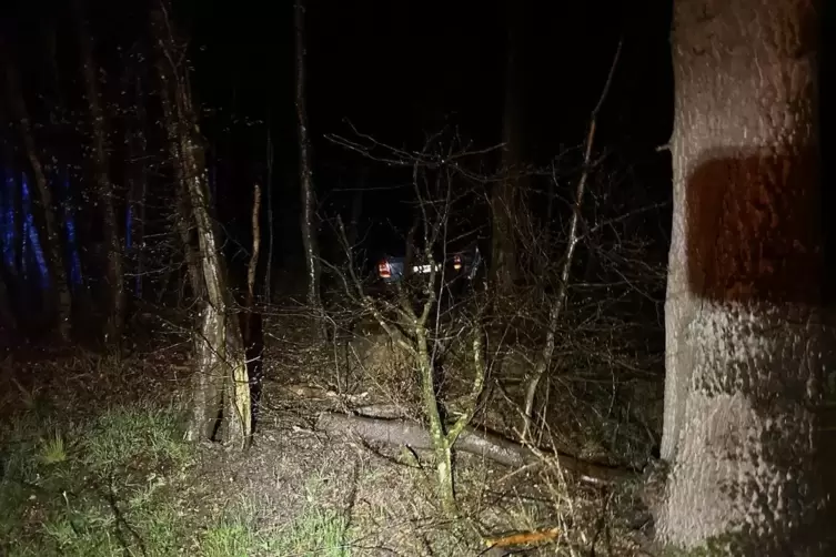 Laut Polizei grenzte es an ein Wunder, dass die Autofahrerin mit keinem Baum zusammenstieß. 