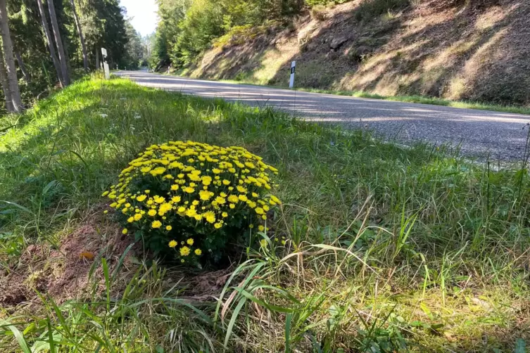 Wenige Tage nach dem Unfall wurde dieser Blumenstock an der Strecke gepflanzt. 