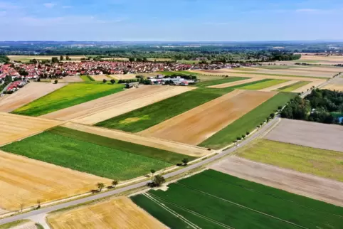 Angedachtes Bohrfeld: der größte grün bewachsene Acker links von der L534 zwischen Otterstadt (im Hintergrund) und Waldsee. 