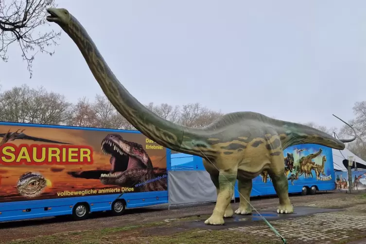 Eines der Dino-Modelle auf dem Parkplatz vor der Eberthalle. 