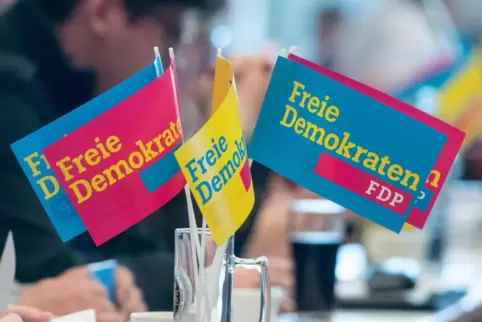 Frankenthal braucht eine „eigenständige liberale Kraft“, ist der neue Parteichef und Fraktionsvorsitzende Thomas Börstler überze