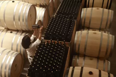 In vielen Weingütern lagert der Wein aus dem Jahrgang 2023 noch im Keller. Im Frühjahr gehen die ersten Flaschen in den Verkauf.