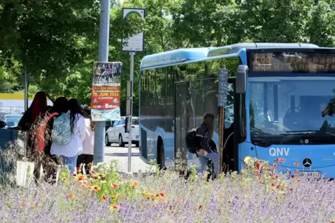 Wo könnten künftig noch mehr Schulbusse stoppen? Im Landkreis soll es ein drittes Gymnasium geben. 