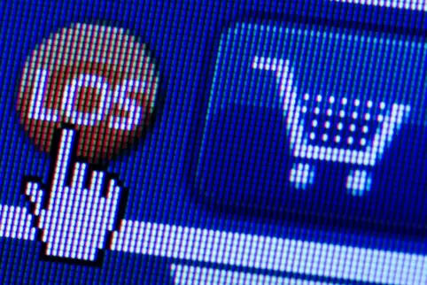 Von Frankenthal aus hatten Betrüger 2023 in rund 1000 Fällen gefälschte Markenware im Internet verkauft. 