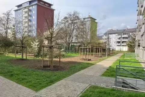 Die von der WBG frisch gepflanzten Bäume.
