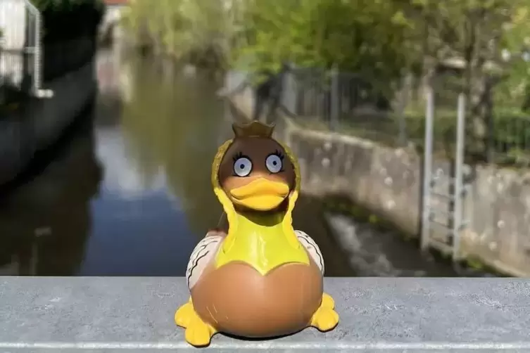 Bereit f&uuml;r das n&auml;chste Abenteuer: die Neustadter Renn-Elwetritsche. 