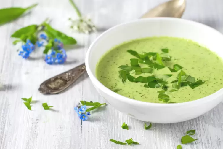 Herrlich aromatisch: B&auml;rlauchs&uuml;ppchen.