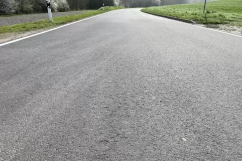 Zu sehen, aber noch viel mehr zu spüren: Die erst im Vorjahr sanierte Kreisstraße 7 bei Dörnbach holpert. Deshalb „darf“ die Bau