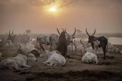 Bei den Hirten im Süd-Sudan: Der Dung der Rinder wird angezündet und wärmt in nächtlicher Kälte.