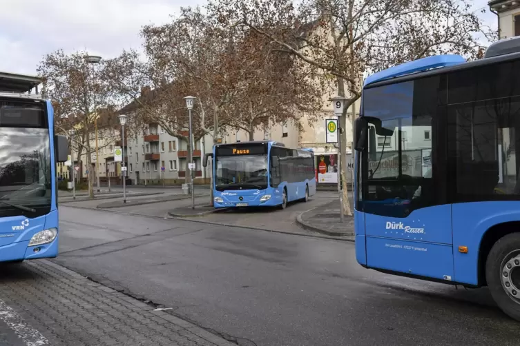 Seit Januar 2021 täglich in der Stadt unterwegs: die blauen Busse der Firma Dürk. Das Angebot soll jetzt unter die Lupe genommen