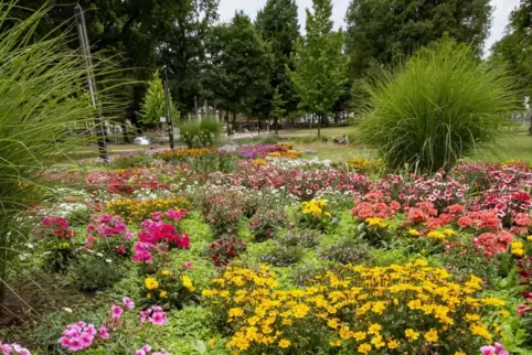 Oase mitten in der City: der Stadtpark.