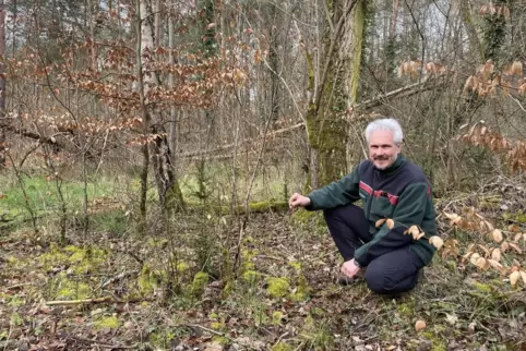 Künftige Stilllegungsfläche im Dudenhofener Wald: Förster Jürgen Render neben jungen Laubbäumen. Im Hintergrund umgestürzte Bäum