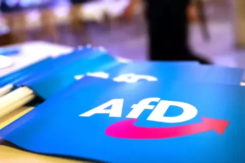 Die AfD wollte in Reinheim einen Parteitag abhalten, wegen parteiinterer Querelen wurde dieser jedoch abgesagt. Die Anti-AfD-Dem