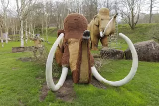 Wieder geöffnet und eine Attraktion: Gartenschau Kaiserslautern.